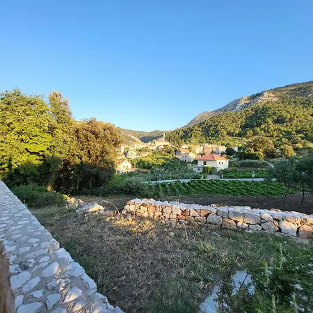 Pitve * Jelsa (Hvar)