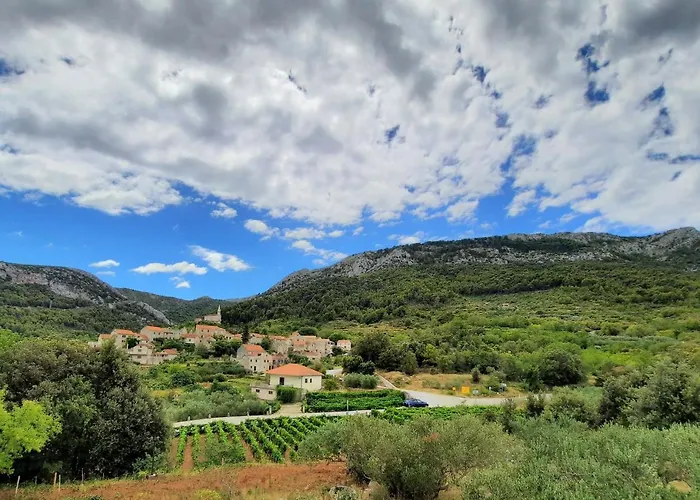 Pitve Jelsa (Hvar)